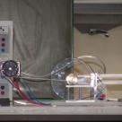 Vebes | Vereinigung ehemaliger Besselschülerinnen und Besselschüler e.V.